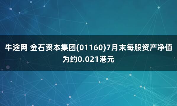 牛途网 金石资本集团(01160)7月末每股资产净值为约0.021港元